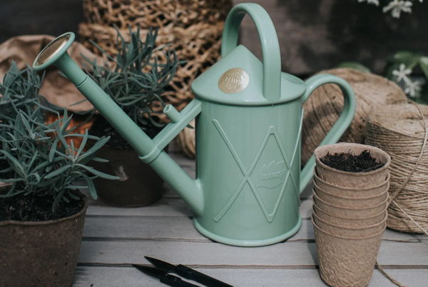 Plant Care - Haws Bartley Burbler Sage Plastic Indoor Watering Can 1.1L