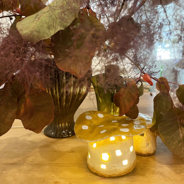 Mushroom Light