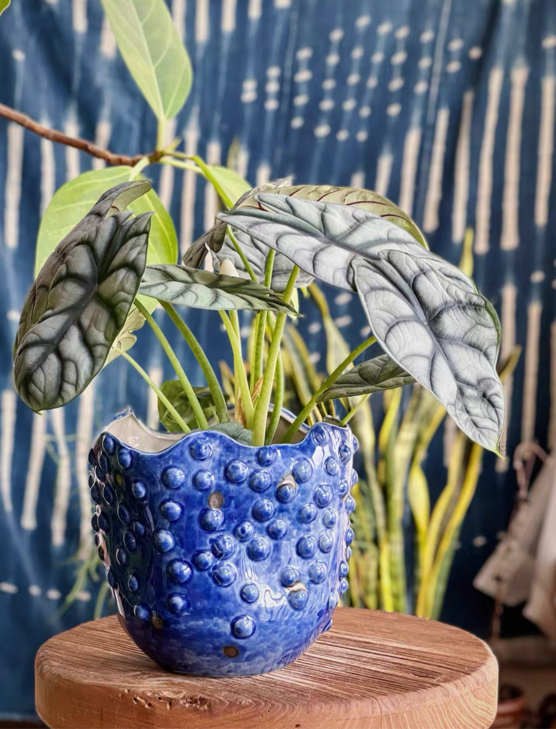 Ceramic Pot - Dot Dot Dot