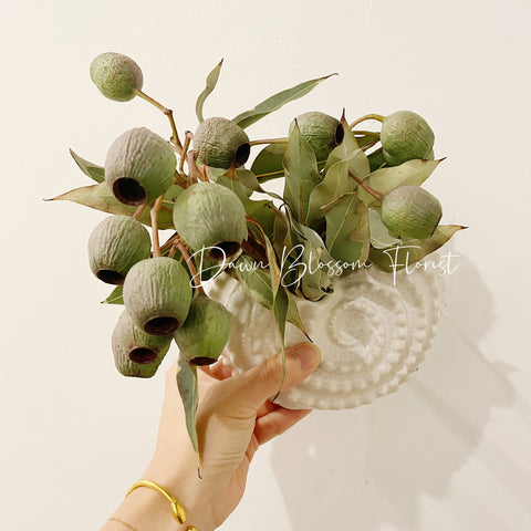 Dried Flowers Bouquet + Shell Pot Set