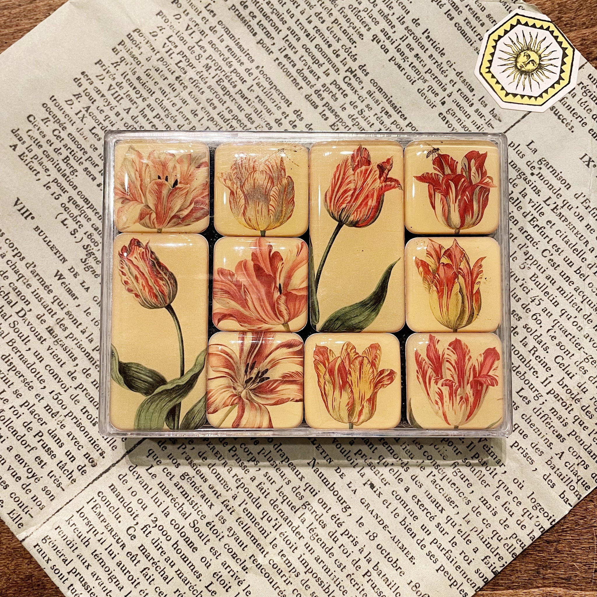 Fridge Magnet - Tulip