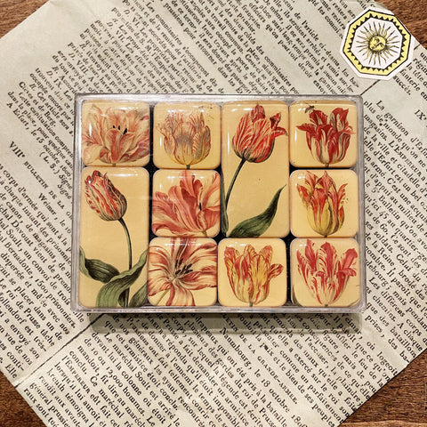 Fridge Magnet - Tulip
