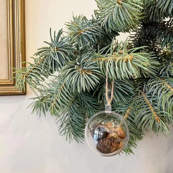 Xmas Ornament - Dried Pine Cones & Hazelnuts