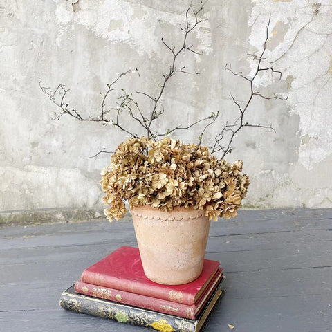 Wabi-sabi Dried Flowers Bouquet + Vase Set