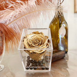 Preserved Rose (Limited Edition Gold)